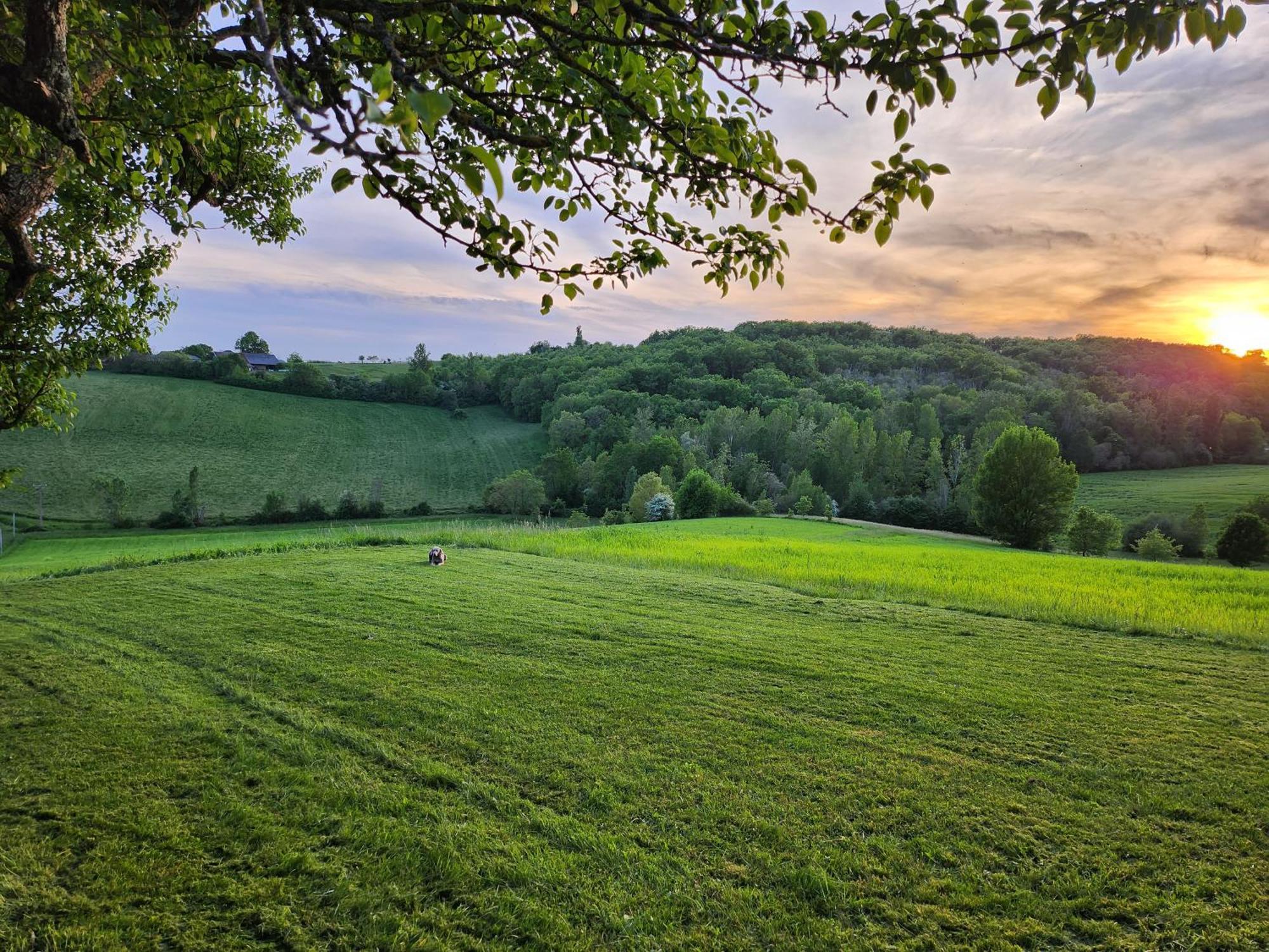 Domaine De Massoulac Molières Kültér fotó