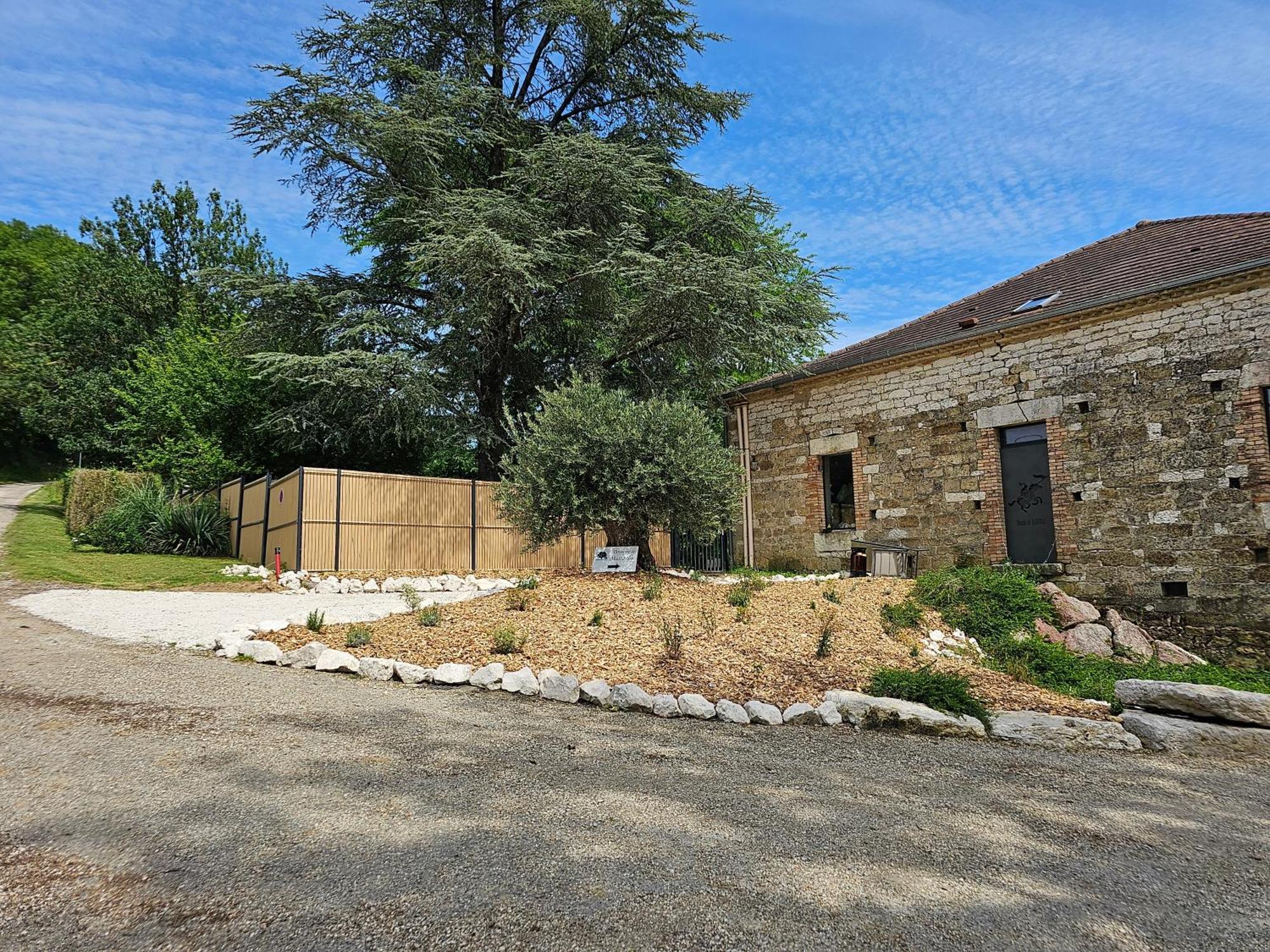 Domaine De Massoulac Molières Kültér fotó