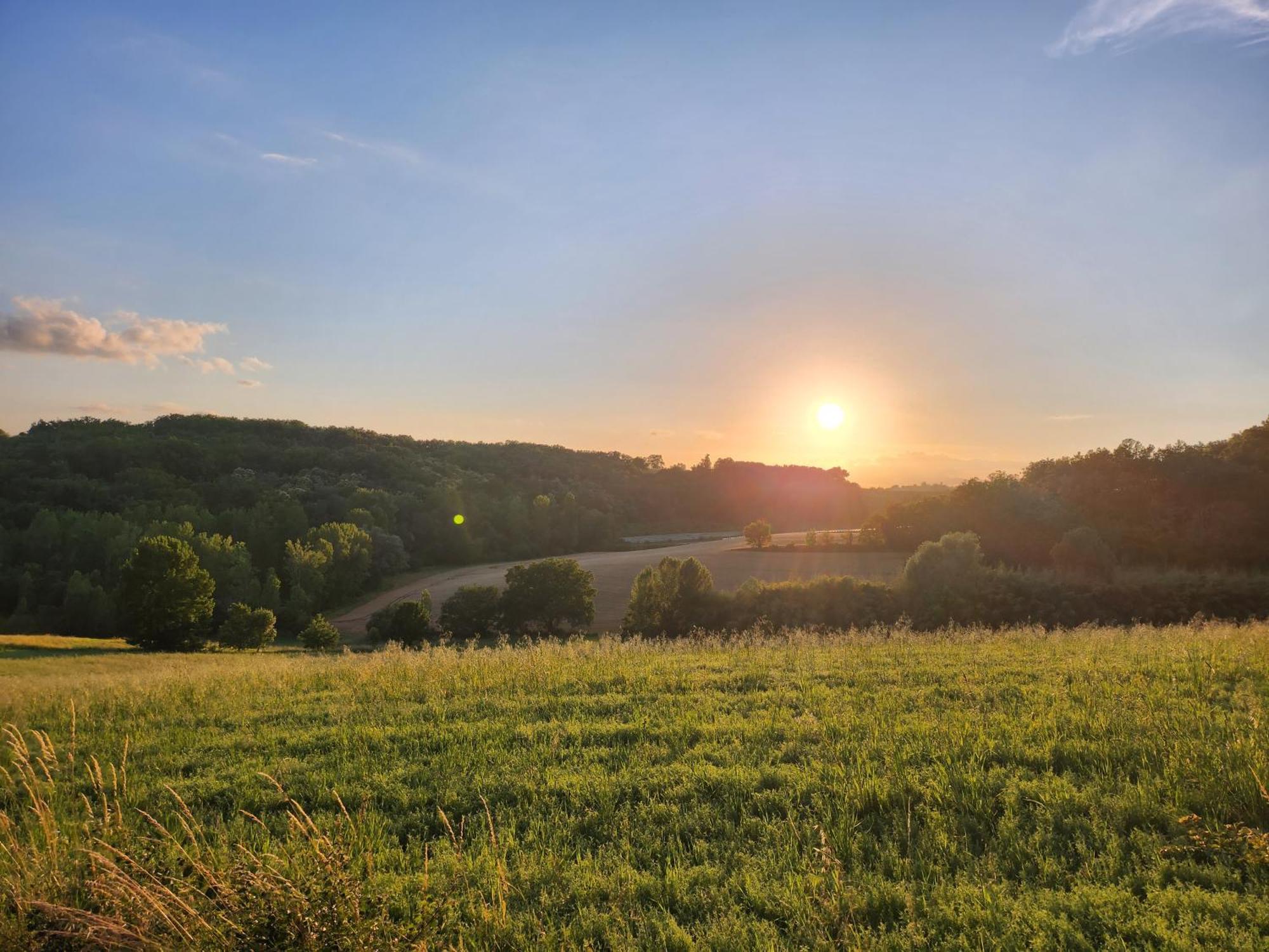 Domaine De Massoulac Molières Kültér fotó